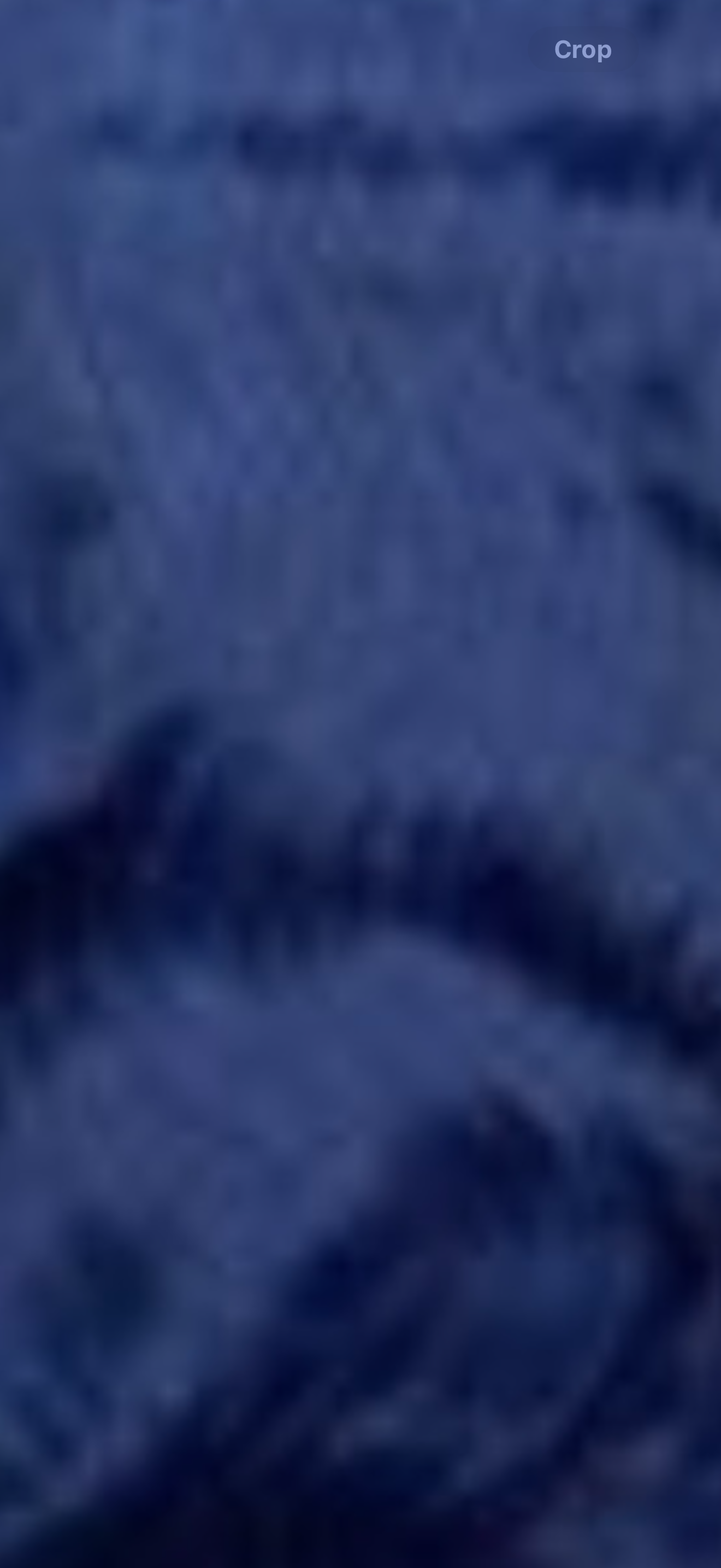 Luxary Coloured Hair