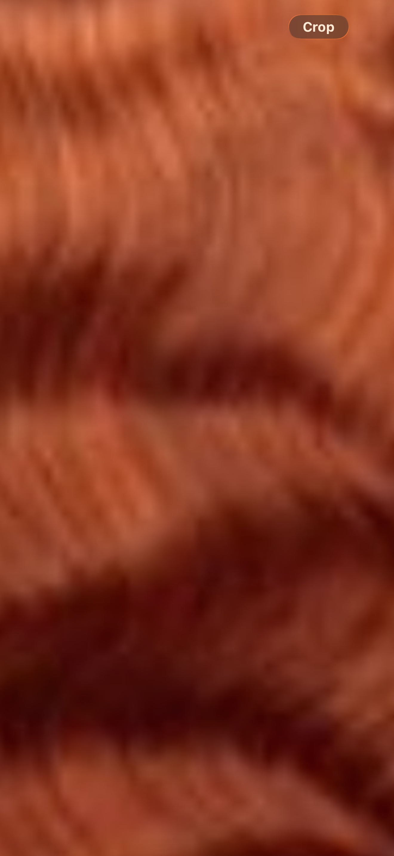 Luxary Coloured Hair