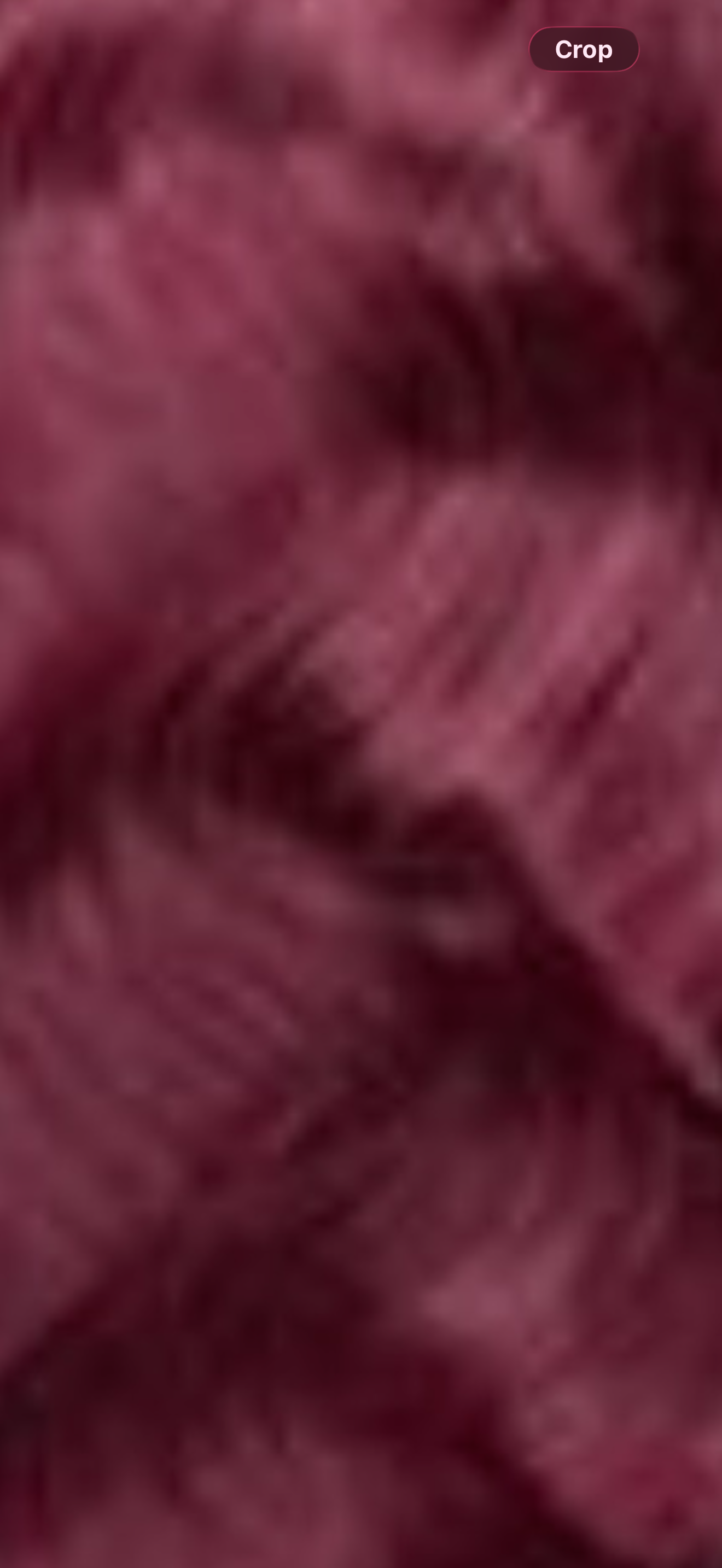 Luxary Coloured Hair