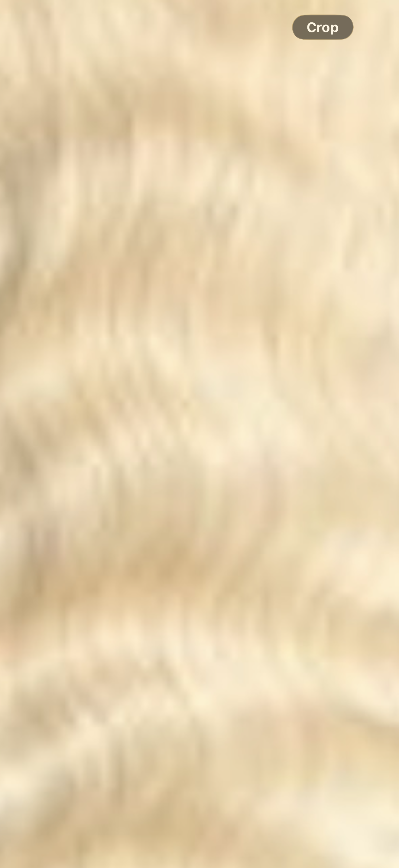 Luxary Coloured Hair