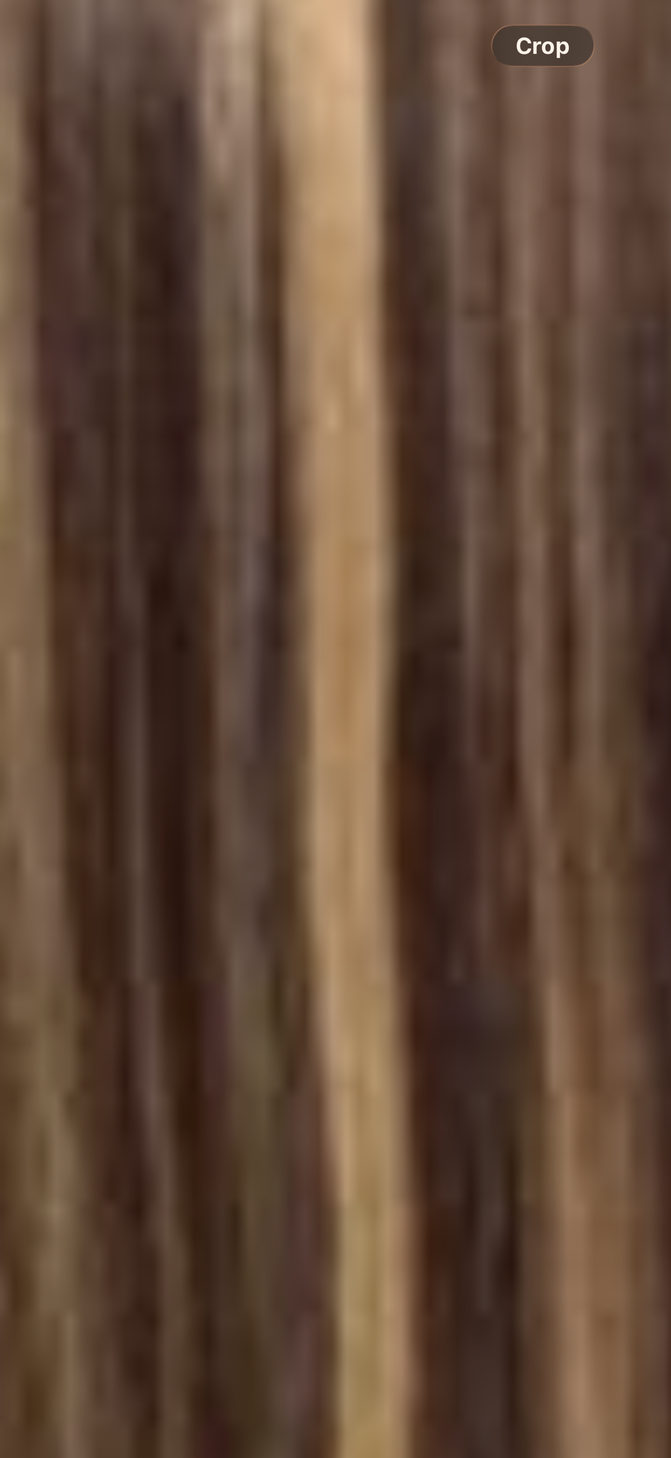 Luxary Coloured Hair